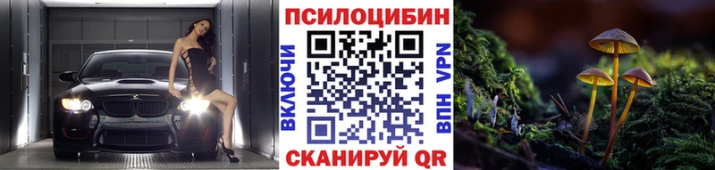 kraken как войти  Зеленоградск  Галлюциногенные грибы Psilocybe  цена  